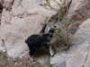 morocco2014162_small.jpg