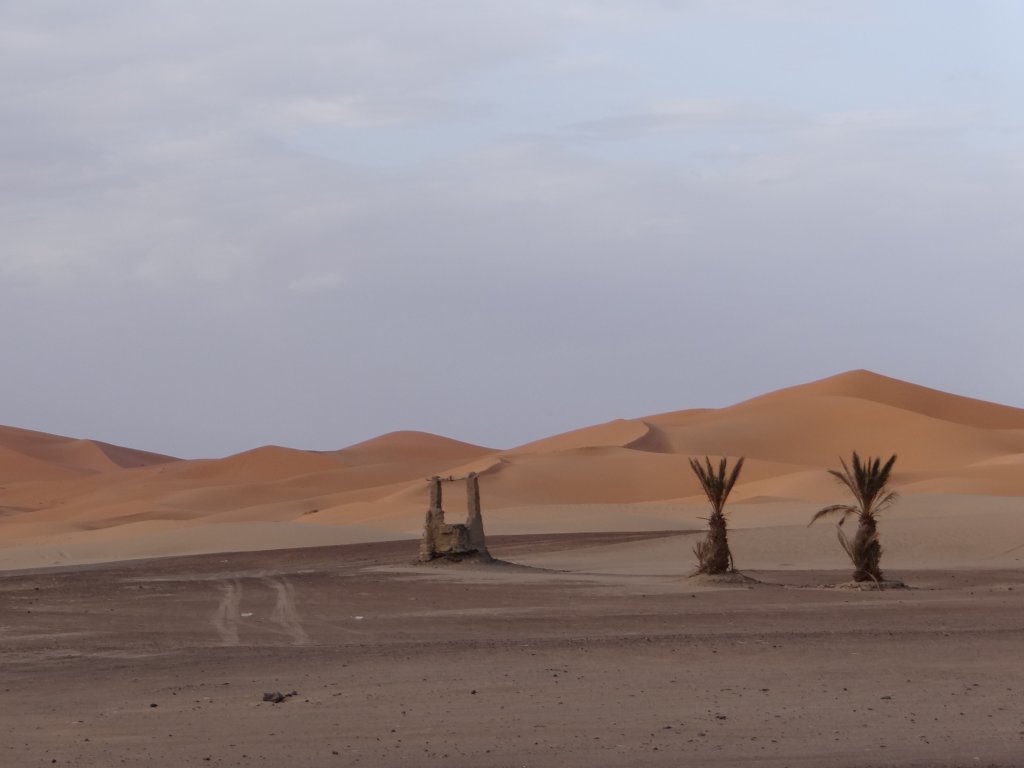 morocco201418.jpg