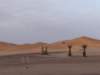 morocco201418_small.jpg