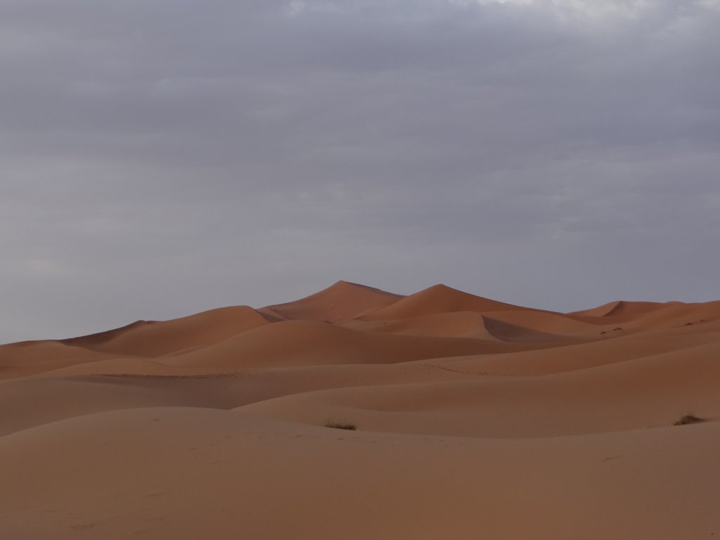morocco201423.jpg