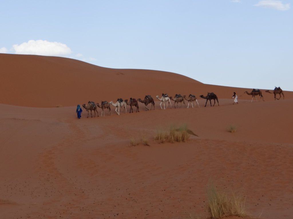 morocco201425.jpg