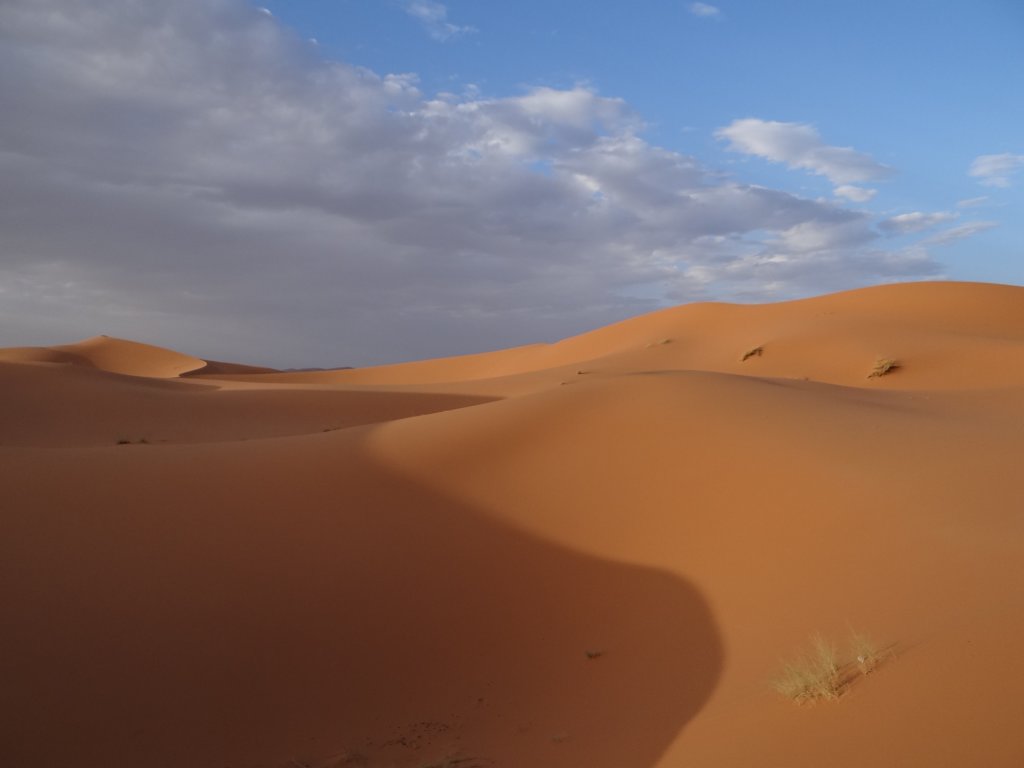 morocco201432.jpg