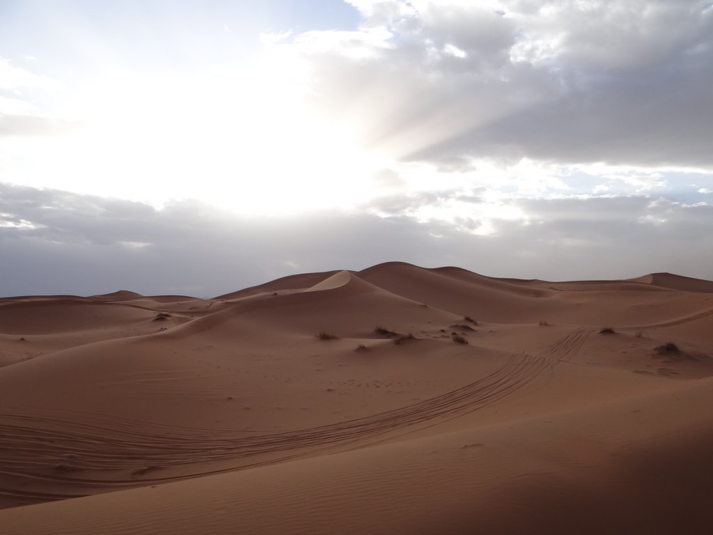 morocco201433.jpg