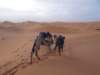morocco201434_small.jpg