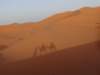 morocco201466_small.jpg