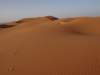 morocco201468_small.jpg