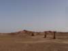 morocco201476_small.jpg