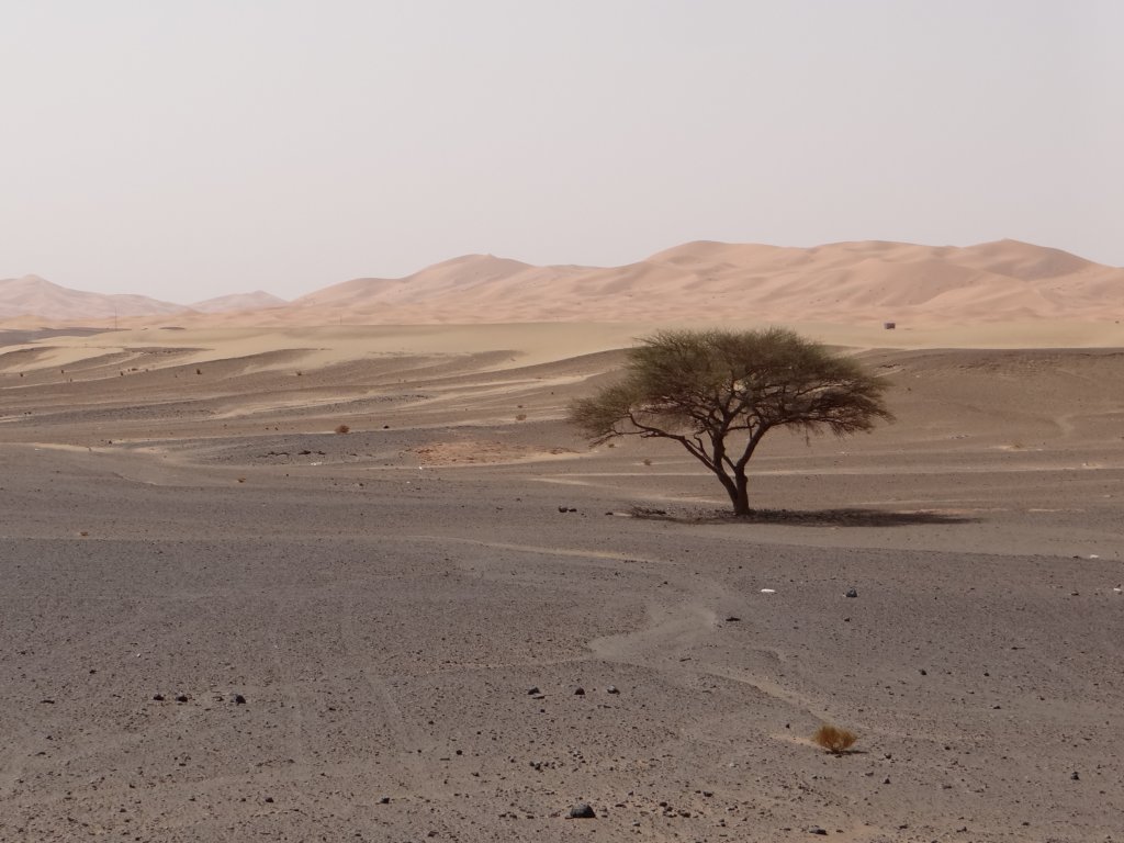 morocco201480.jpg