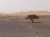 morocco201480_small.jpg