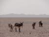 morocco201489_small.jpg