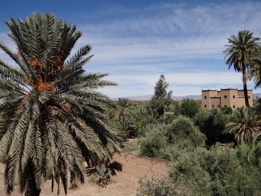 morocco2014.jpg