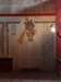 morocco2014125_small.jpg