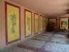 morocco2014130_small.jpg