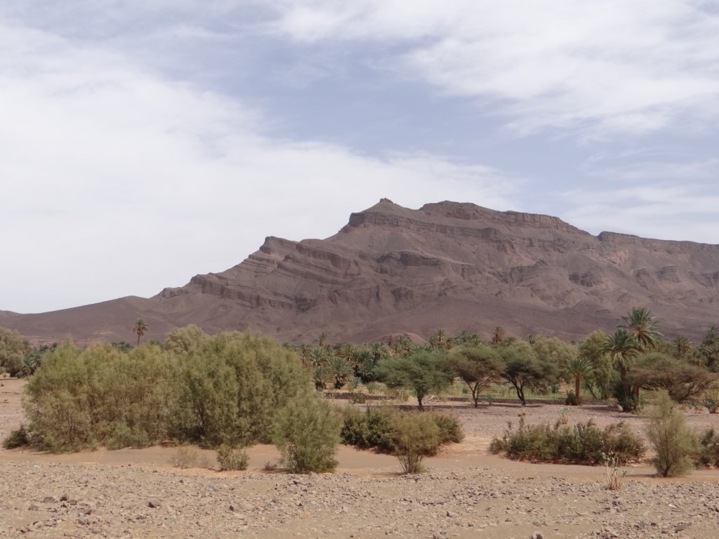 morocco2014160.jpg
