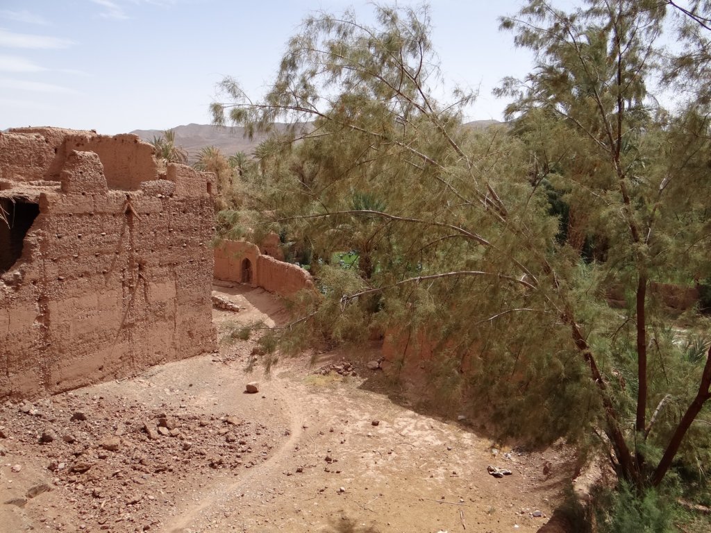 morocco2014180.jpg