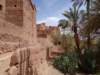 morocco2014182_small.jpg