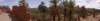 morocco2014183_small.jpg