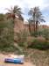 morocco2014184_small.jpg