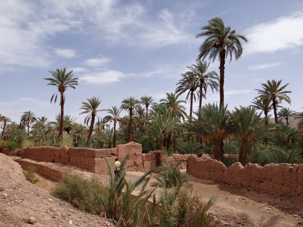 morocco2014189.jpg