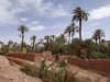 morocco2014189_small.jpg