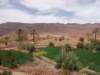 morocco2014190_small.jpg
