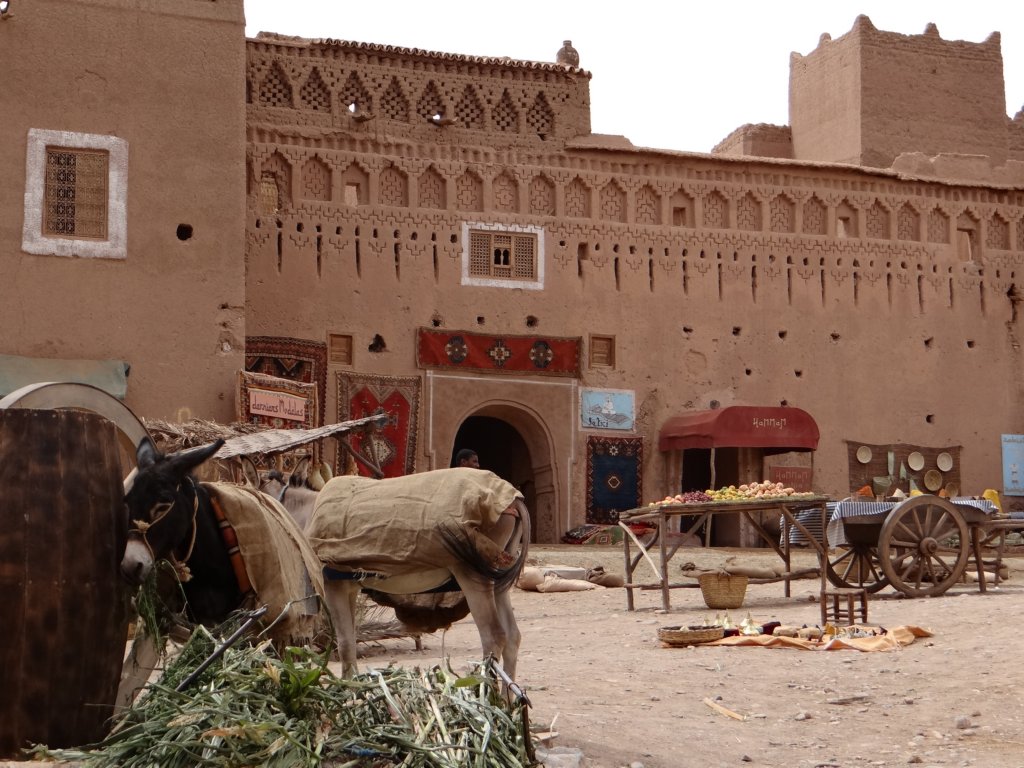 morocco2014195.jpg