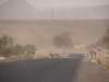 morocco2014208_small.jpg