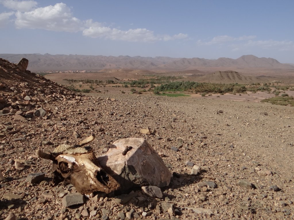 morocco2014215.jpg