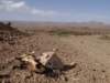 morocco2014215_small.jpg