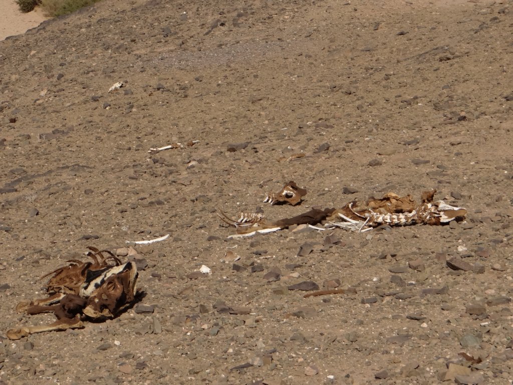 morocco2014217.jpg