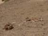 morocco2014217_small.jpg