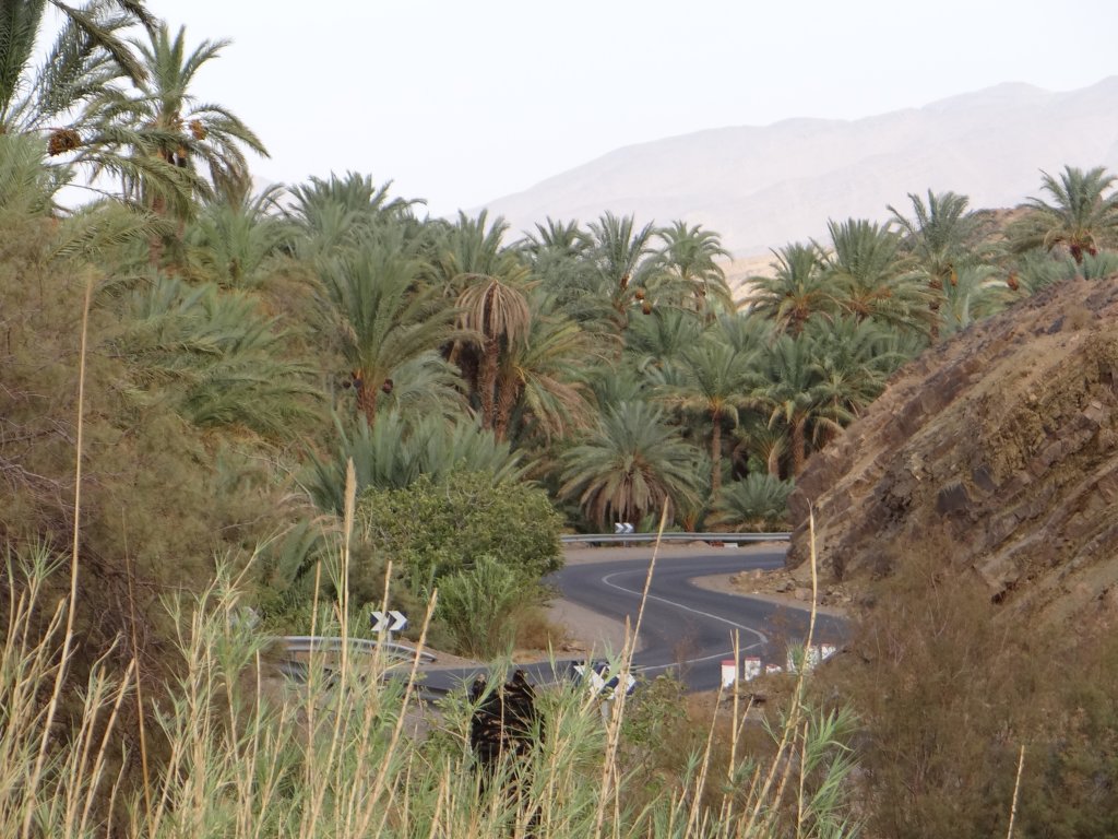 morocco2014224.jpg