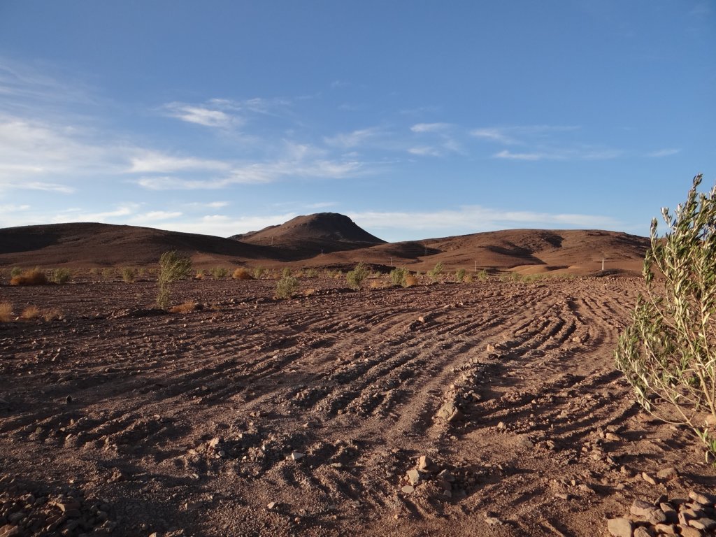 morocco2014251.jpg