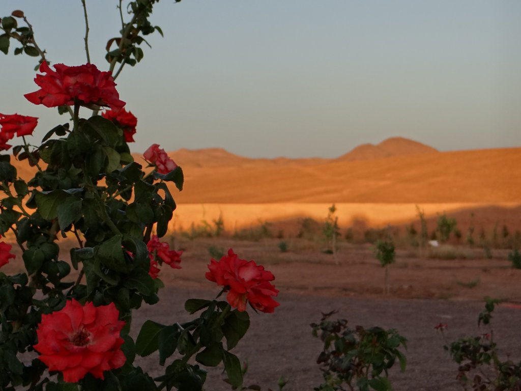 morocco2014257.jpg