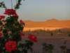 morocco2014257_small.jpg