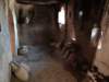 morocco2014266_small.jpg