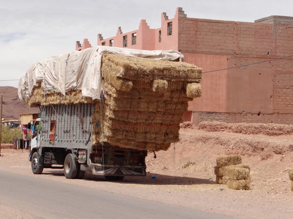 morocco201459.jpg