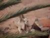 morocco201486_small.jpg