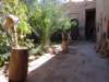 morocco20148_small.jpg