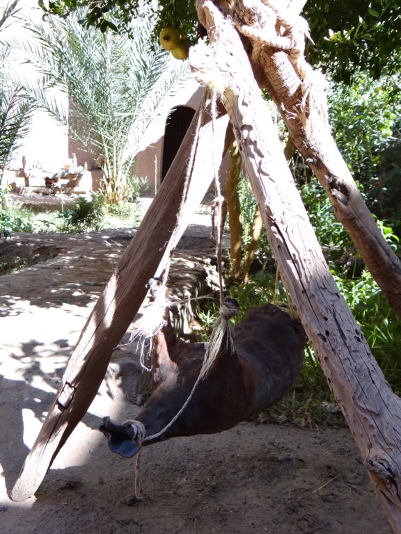 morocco20149.jpg