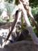 morocco20149_small.jpg