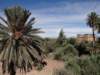 morocco2014_small.jpg
