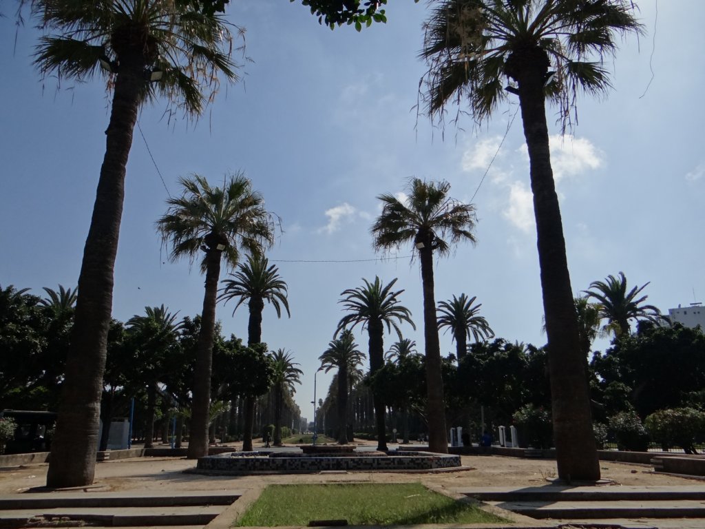 morocco2014.jpg