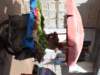 morocco201410_small.jpg