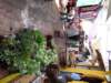 morocco201414_small.jpg