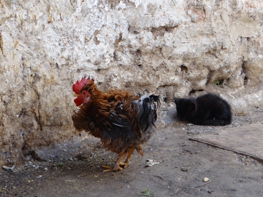 morocco201420.jpg