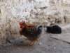 morocco201420_small.jpg