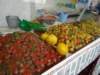 morocco201422_small.jpg