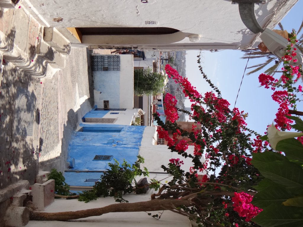 morocco201434.jpg