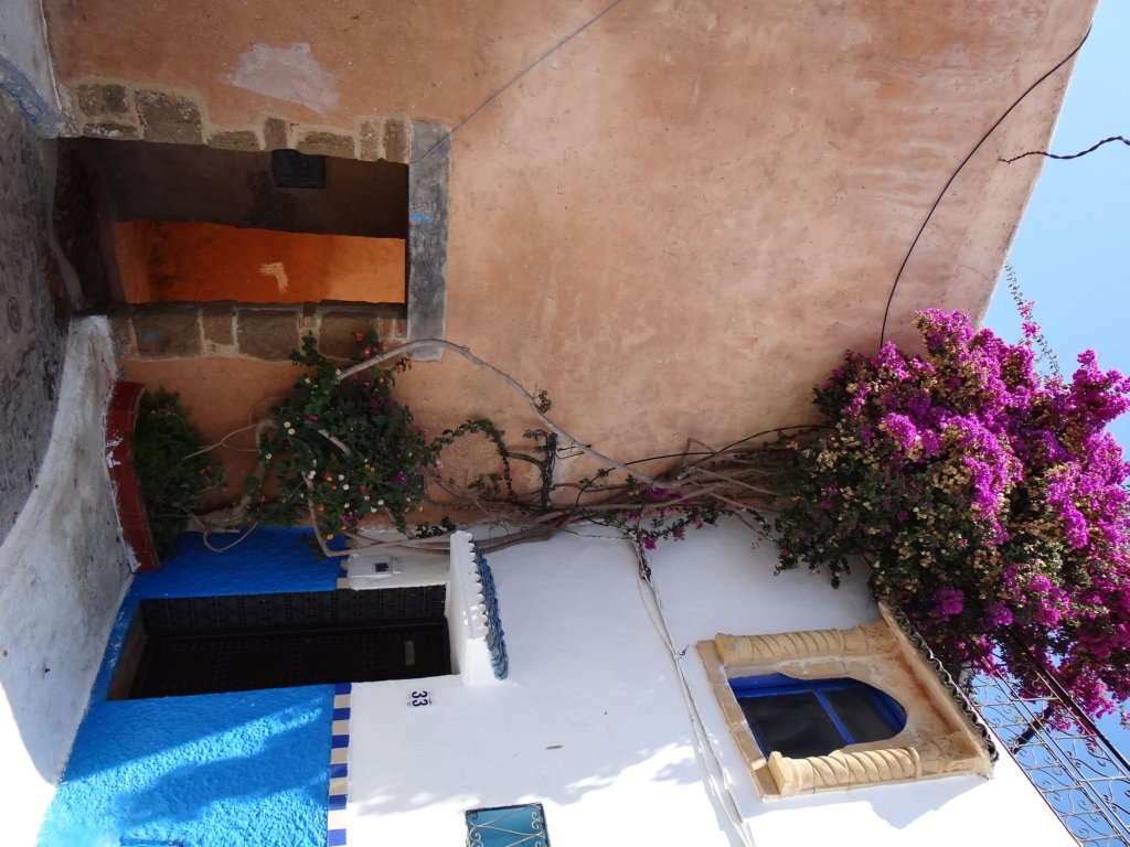 morocco201444.jpg